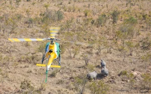 Suspected Missing Helicopter During Anti-Poaching Operation in KNP Found